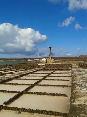 img/b/R29vZ2xl/AVvXsEg_6EUXVA1XPXk5RYT1C2bktOpIWrhug-Pyi2wS-123rjiT3L9f9yWyAZ13aAiInx_cPmuYKkQOraGShNPTyEeD56ph09dhLlar3AB9UIlcmh-NT3SqmvgHdmnNBwwQ8CF1XXLsvCFh2t0/s400/Salinas_.jpg