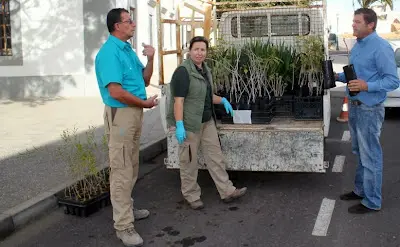 img/b/R29vZ2xl/AVvXsEhwwKsgc1g7oio_OcBBXdWSopEsX-J4MciOzPgGnB1dL8auIX4OvQp8-3NL31eOcc-Uc1xtGxpkkHVfnHEqvvIdXWZSmwMbiOyV7z9Y6d7tBP8uOyEyJN4v16DQuG0kHqv3tFi15OSxX_g/s400/Trabajadores_del_Cabildo_entregan_especies_vegetales_a_un_vecino_de_Antigua..jpg