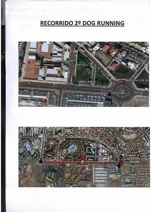 img/b/R29vZ2xl/AVvXsEjDPwsd3If-D2MJHIxeZNMnFtUFojMnGdiHGYHglnBcjlUVVxClu_kO2oPZIFzLrD-KqFyWGqQFSgaYTGjIQ8Xmg_9z97Jzxlj2zkYeDhzB-eQXeY-eozlnT1h2B3IFdAijNb7vvNlRlCE/s1600/RECORRIDO_aprobado_II_dog_running-Corralejo.jpg