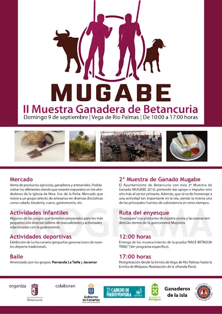 Cartel_Mugabe_2018