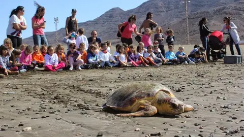 img/b/R29vZ2xl/AVvXsEipQ6Z41QcQSx7z6P4NRu6WrkhOPE7ic2Ul2QpGayGFo1H_PPtnX5ZCZrFFfe6Lr-5OytAwo8Uw1QG3vdsr1FlegPu31AQELHHNs__GPUcYsdwur7YVdkQacvox-ZC2X2Od2Wy84WU2pQU/s1600/suelta_tortugas_CEIP_Gran_Tarajal._1,5_y_57_kg_(2).jpg