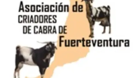 img/b/R29vZ2xl/AVvXsEi_DIh0RRouY4V39vMp1nJU-s8WKAesM0mgDO5fn5oLNScykml3dM7tByPJFrG6IWWgC0ANhxy0xGNhNG1Hijnpfor1KnprTf8Fo6wC-e6r9xo17Egw_I2fp1WMBi7suk4bFoJtF9aC7_E/s1600/Asociaci_C3_B3n_Criadores_Cabra_de_Fuerteventura.jpg