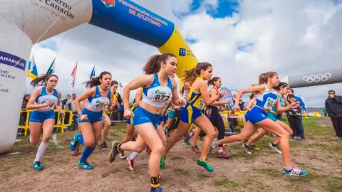 AUTOR: ALEJANDRO QUEVEDO (foto.alejandroquevedo@gmail.com)AÑO 2018 - FECHA: 04/02/18DIRECCION GENARAL DE DEPORTES DEL GOBIERNO DE CANARIAS. DGD. CAMPEONATO DE CANARIAS DE CAMPO A TRAVES CADETE Y JUVENIL, CELEBRADO EN GRAN CANARIA.