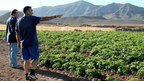 img/b/R29vZ2xl/AVvXsEi_aOby7LLc93y9nQ1489BVychcHDkp9BlzbPNZpLCooQ9W5UcXwfzugryQ81oEa3cg1YQO8x2-rpuPLwDFxK-Qi9VcHPh2o6IVaa6rs5KoM1IQRTS4gztB_AwAVXQRB4HIYgQymymkOErA/s640/El_concejal_visita_la_plantacion_de_tomates_y_papas_del_joven_Roque_Cabrera__281_29.JPG