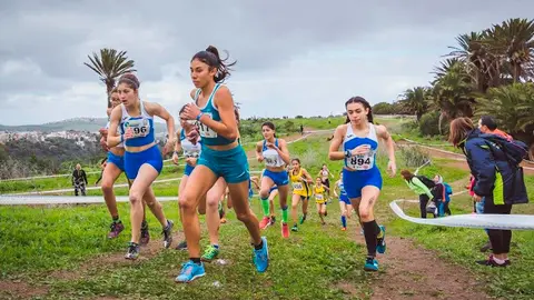 AUTOR: ALEJANDRO QUEVEDO (foto.alejandroquevedo@gmail.com)AÑO 2018 - FECHA: 04/02/18DIRECCION GENARAL DE DEPORTES DEL GOBIERNO DE CANARIAS. DGD. CAMPEONATO DE CANARIAS DE CAMPO A TRAVES CADETE Y JUVENIL, CELEBRADO EN GRAN CANARIA.