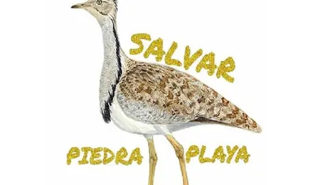 img/b/R29vZ2xl/AVvXsEhsV0ZZCMkw2HNsPYcNQ8AxXowgyZZTuaI3oqhoi5SjGokgyrYh2Tqr9zMQ9ybydVpJe5lbhGN4y1mzneh00jN_qP5t5NjggYFSS2msWF7YoTYPBAPkKjZzmUyK_vys4oc_3RByGktjD5Tn/w640-h624/SALVAR_PIEDRA_PLAYA_logo.jpg