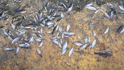 img/a/AVvXsEgxKZ-5SwzCQEe109O1e_eCz6Qj4gm7un6QEqVRhvD1V1uPW0jxecoe-4WVmeMgMCVBrP0o664Lbke9P4d51KdsHj6eQq-snRQKQT2ZfC-xk6bJIFsIcVJ8-bNy1-gUbLeLRztBcr3lTD6yB6RMt8tDxpIqqdxowGw9xmqiT7PHPox01OPuOXUWjdddfg=w640-h480