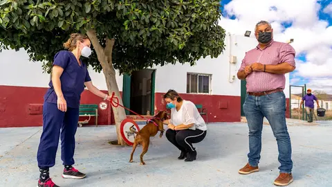 img/a/AVvXsEgrgq3PntX1NROnBYfpnGdqVRKw8cUkZ0o5Fu9PQtoqPVxnjP7rKJ3GkppXTmTYd_khzxXMRa039ZdrDTBj0DVdCVoiKVnkimk2jhY3-a4t6k9WPU1QvTSQOuvJD35QojA78gnaPoVqHXRdK0QzmdZuYdouL-HKSOTYaCAS3RcqPphnF6AUTDJc3WBlmA=w640-h426