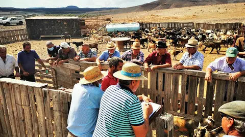 img/a/AVvXsEhg5ITifRsetxJ7kOfdiWm11wsG8z48DD1TKFQRmA5eQjm522AhzXdzu0HfHnhSoKEG1EADNWoIG9pTrApfi6GEv3Y1_1-JxfAdxZokT7ShG7V5g0i62vKO4JBkXWnuuLV1URM5bSFPELq6RosYrDvmErbfbfxnBkYrpAwwEKs3WvYbOrV0JL93Mxj1bA=w640-h480