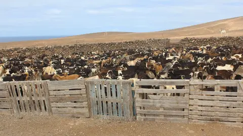 img/a/AVvXsEhx3399VfSX3HynwcXUWY_NSLAaOubkPnkWlk-pHDka4BeymwLzObZVcjNM5rKnbcZy7P3UVwiOnseYumbjmWF7MAkbU3zR-cWNHflbrCxJccquazasmG3jEve-CwrEono0vDQ4Kh5hsNiCMlKHDlhW5mucdMEN8BXoD0Kp3y6zPdqWmJt0w2XZ05E1QQ=w640-h426