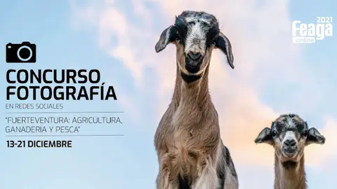 img/a/AVvXsEjxkG57e9McySk0JeWn_Xgwvev2_jj5tIKmhGg7W2FNIsMdgQ6qY_bN_lyMcQJ2FT8oTkE0SBA9HnJD6To4hj39Wr8VbG9sM8RKdD1tUz39uuJwmJLv6yHpJvi8qfe3kOExdgwCXw7u5QYcG4bO371KqcfbUbjnRiyIoKc9kIAqsUAj-JRJo4FZIEuq_Q=w640-h336