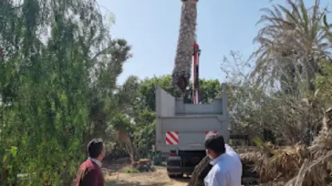 img/a/AVvXsEj0cF9X10WLkSTmrNi6-SYFW0nthnRjxSsLgrZ1W6N5f8wMwJjzEcZVyi-Xr6n2D3eKrzXQy-1fSNYdfEivYc74VgQKUKrBeW0iJHn1XhPuKyj3rwQzFg__VCzj2k0EDgx40VIfqyXlD4hU1t8__Ac7iwu8vawzZC0oOHm0JE_LR8Rh8V4ClstMrLG6wg=w300-h400