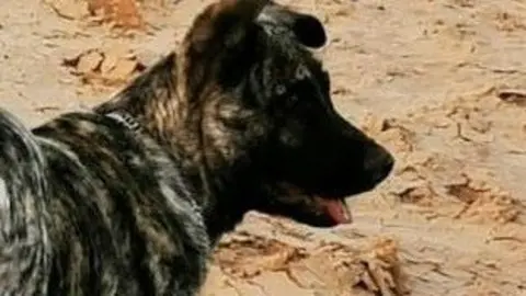 img/a/AVvXsEisRYYDnWAW3P2ouAyYOULiQjPvRsuwOq2F-GD6cloB3W6_TWRG9IR9008m7YkH0Dofsyz3UeLdEvrN9KelQLTKKKzVLG4REEDfrzxd7Cfv6K5R1Aqs-XVCu1LTqVpC7SIsUq4ME6v3sg9GFTwkalqmKr-g-csdmJLDhdmSVRwbM5N1IkMbplA6BO4v6g=w400-h309