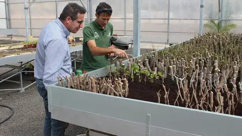 img/a/AVvXsEhmyuKdF4dAxWM6ISv6kO2vIjbdW8Sr8QMUxwbdtwkURgOuYuT1Cum0uq9riUtEH0KlowrCFrNMVL2Fk9vhqc2DGiPcCJKeUjhAof0O-9vbM-Y5N5kpdsKTgeEaLCMTxIzz9Xgfj6Ckq0lIfUkNF9iqXZKobNpgp0xVFsGswBKFvfRXThfeEAMY7L0Wpw=w640-h426